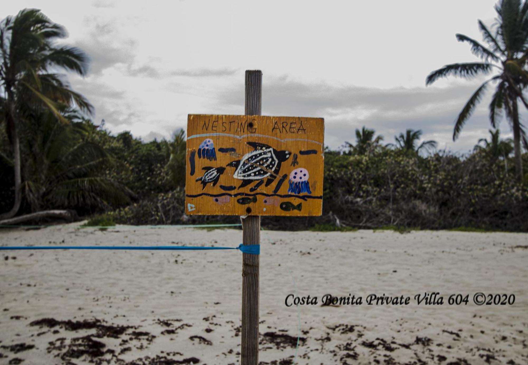 Costa Bonita Private Villa 604 Isla Culebra Exterior foto